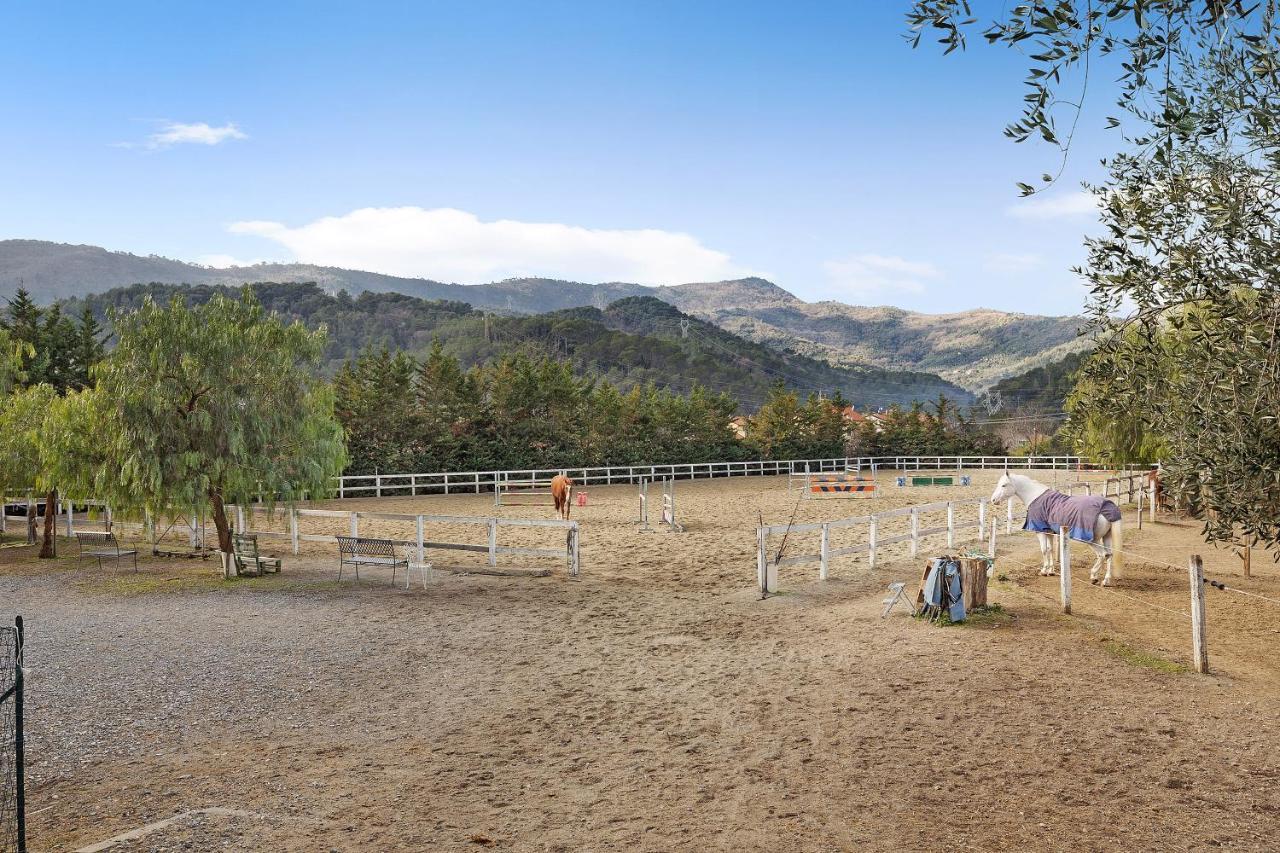 Messalina Agriturismo La Scuderia Molino Nuovo  Eksteriør billede